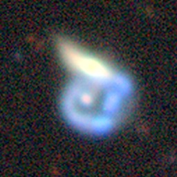 Example Alt Text